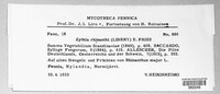 Phomopsis rhinanthi image